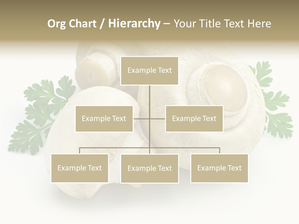 Raw Freshness Health PowerPoint Template