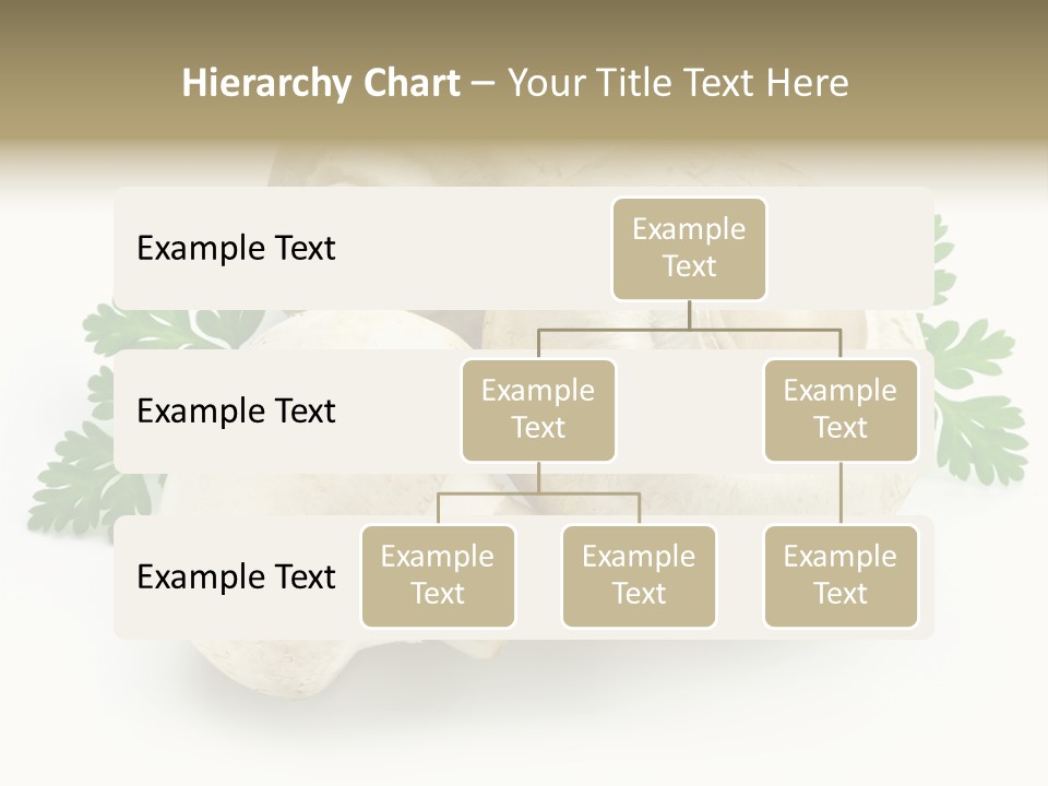 Raw Freshness Health PowerPoint Template