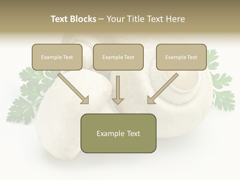 Raw Freshness Health PowerPoint Template