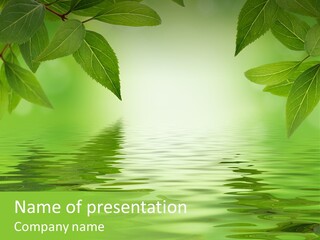 Summer Leave Nature PowerPoint Template