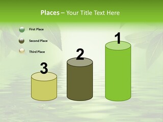 Summer Leave Nature PowerPoint Template