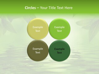 Summer Leave Nature PowerPoint Template