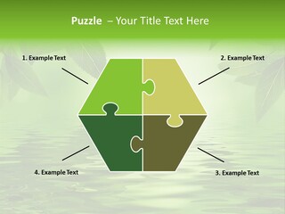 Summer Leave Nature PowerPoint Template