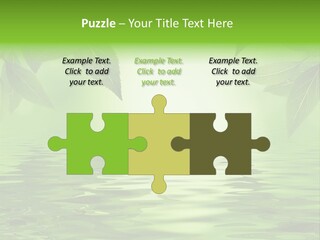 Summer Leave Nature PowerPoint Template