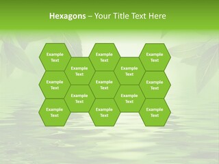 Summer Leave Nature PowerPoint Template