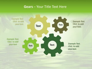 Summer Leave Nature PowerPoint Template