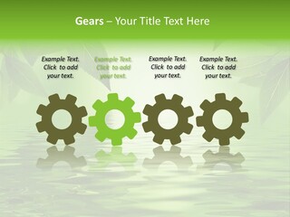 Summer Leave Nature PowerPoint Template