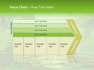 Summer Leave Nature PowerPoint Template