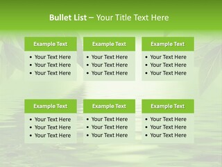 Summer Leave Nature PowerPoint Template