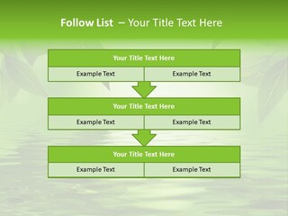 Summer Leave Nature PowerPoint Template