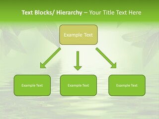 Summer Leave Nature PowerPoint Template