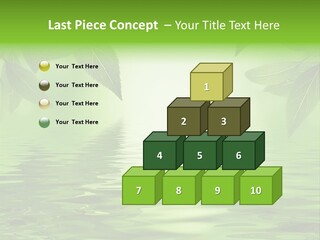 Summer Leave Nature PowerPoint Template