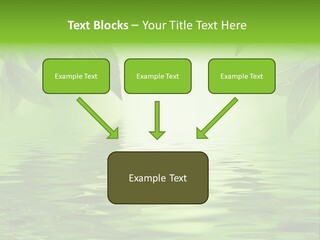 Summer Leave Nature PowerPoint Template