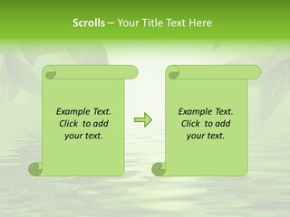 Summer Leave Nature PowerPoint Template