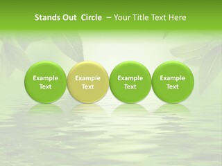 Summer Leave Nature PowerPoint Template