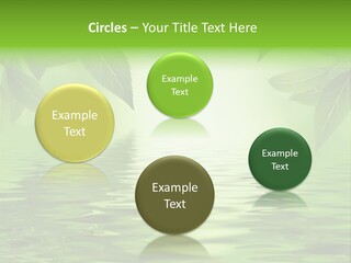 Summer Leave Nature PowerPoint Template