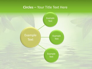 Summer Leave Nature PowerPoint Template