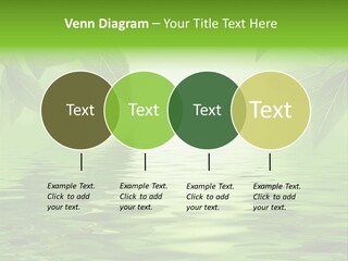 Summer Leave Nature PowerPoint Template