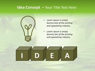 Summer Leave Nature PowerPoint Template