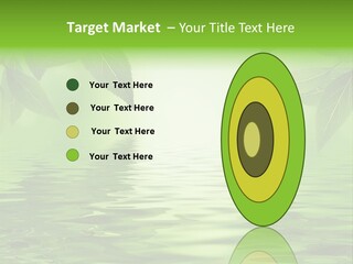 Summer Leave Nature PowerPoint Template