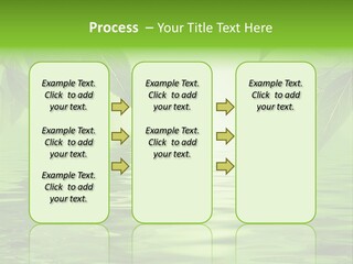 Summer Leave Nature PowerPoint Template