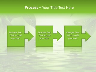 Summer Leave Nature PowerPoint Template