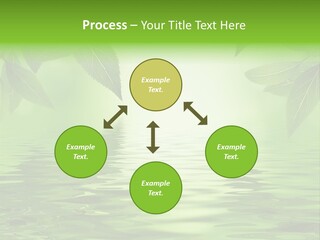 Summer Leave Nature PowerPoint Template