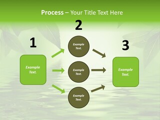 Summer Leave Nature PowerPoint Template