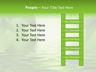 Summer Leave Nature PowerPoint Template