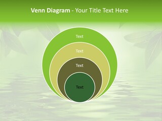 Summer Leave Nature PowerPoint Template