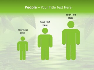 Summer Leave Nature PowerPoint Template