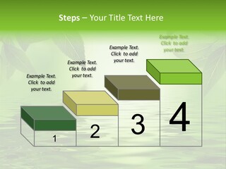 Summer Leave Nature PowerPoint Template