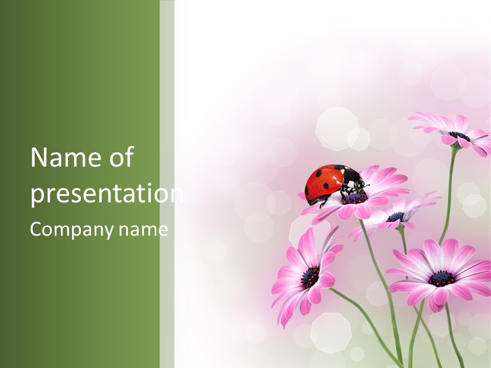 Isolated Petals Border PowerPoint Template