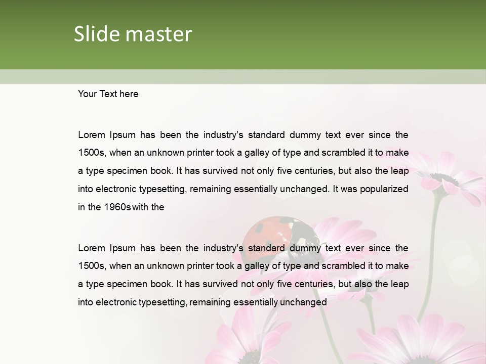 Isolated Petals Border PowerPoint Template