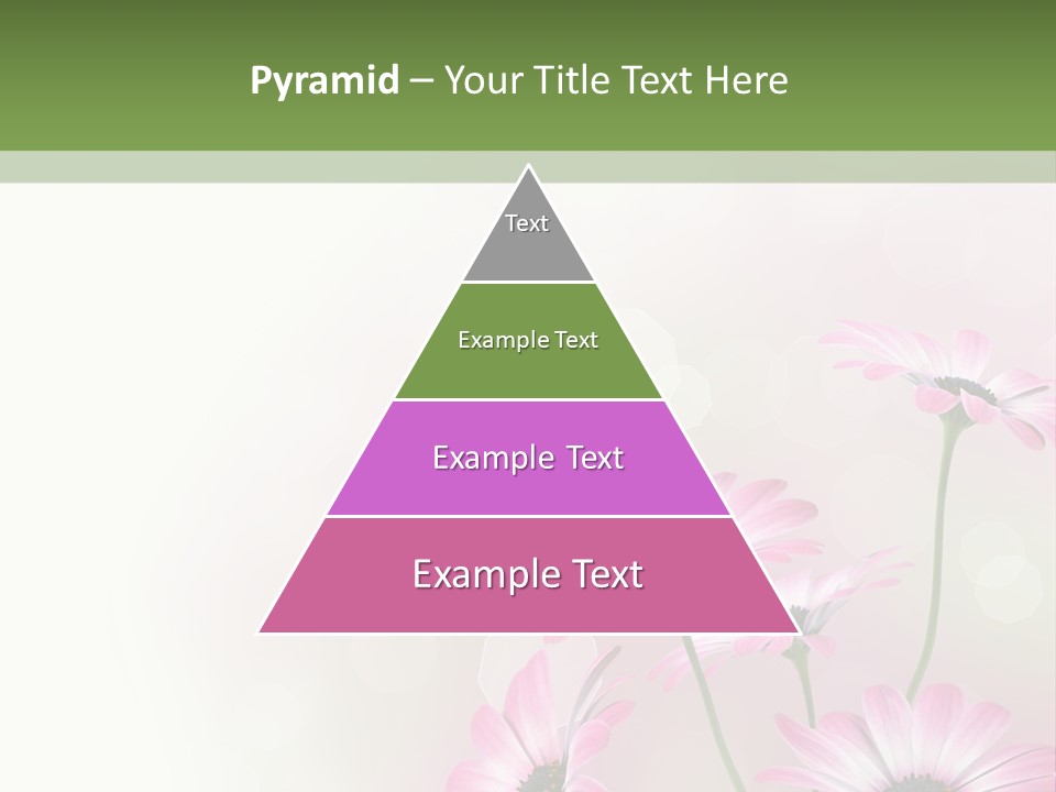 Isolated Petals Border PowerPoint Template