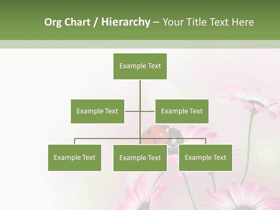 Isolated Petals Border PowerPoint Template