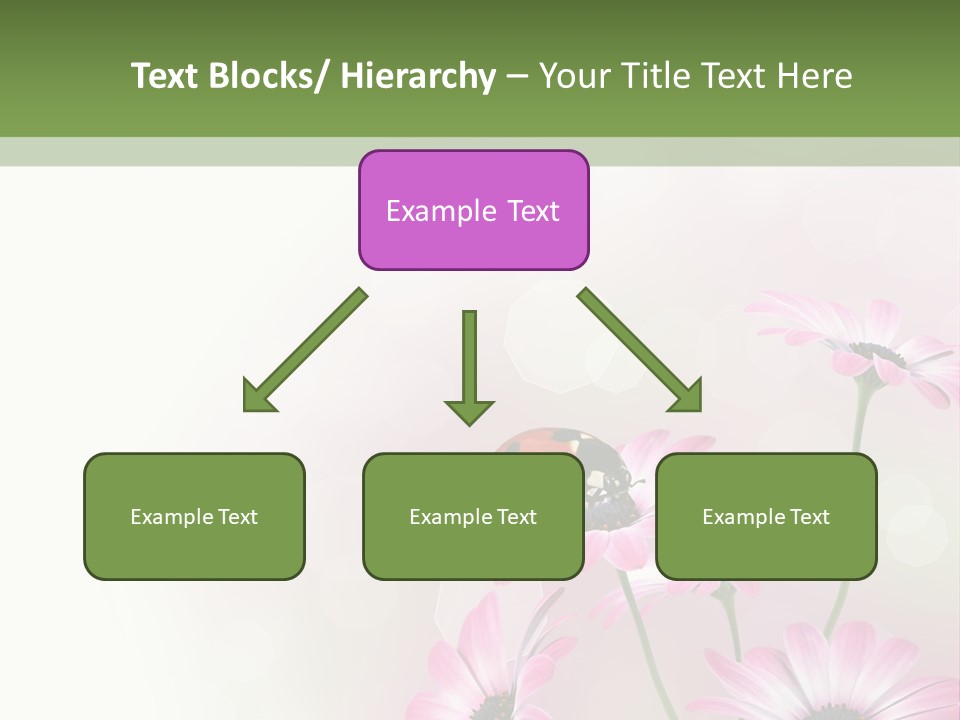 Isolated Petals Border PowerPoint Template