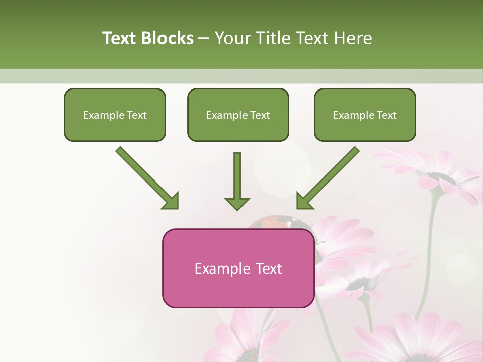 Isolated Petals Border PowerPoint Template