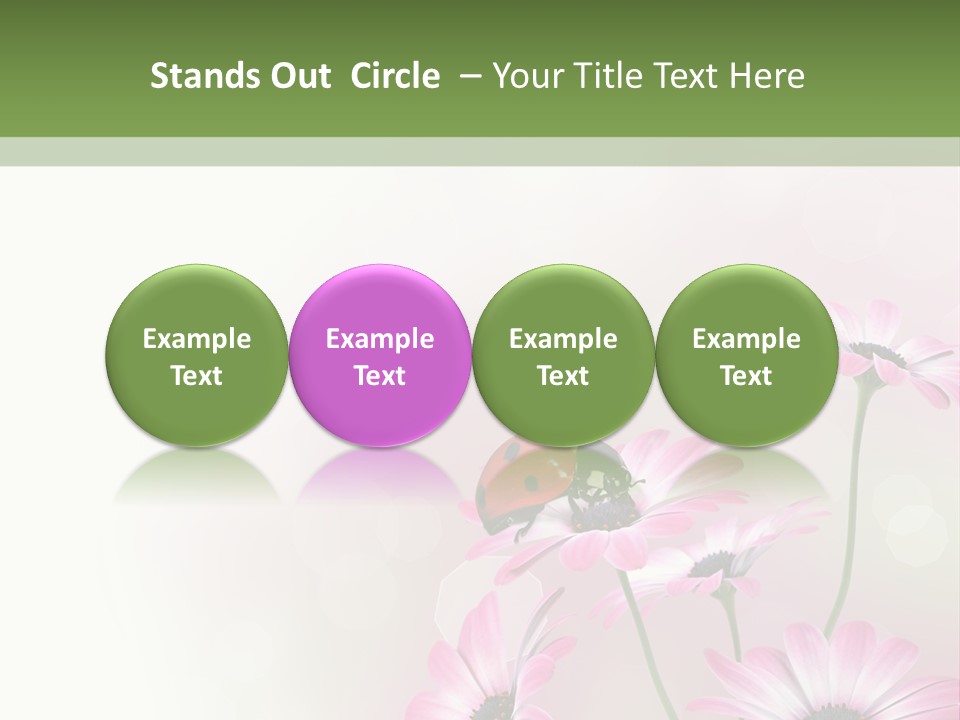 Isolated Petals Border PowerPoint Template