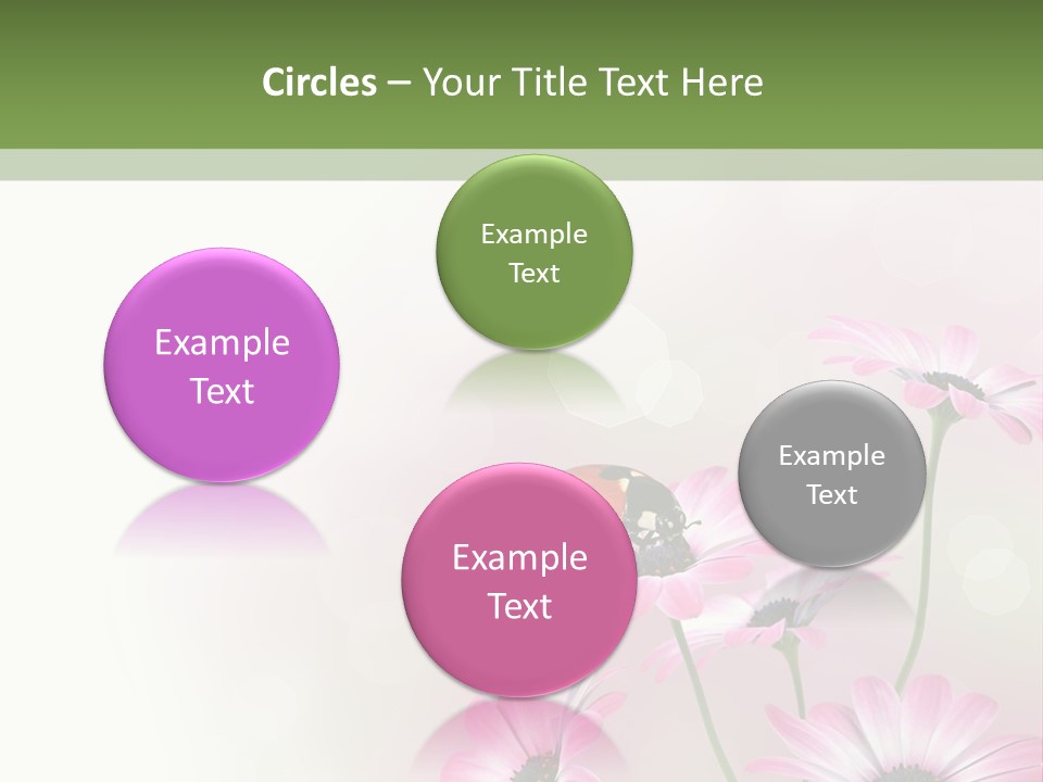 Isolated Petals Border PowerPoint Template