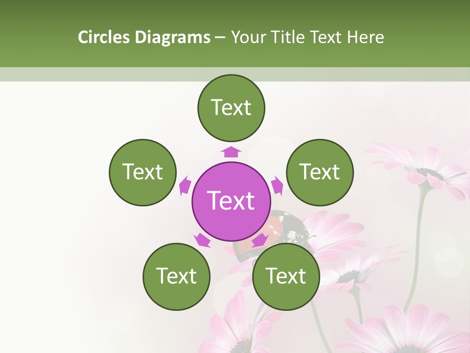 Isolated Petals Border PowerPoint Template