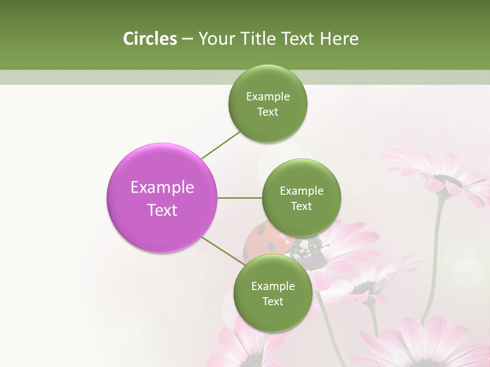 Isolated Petals Border PowerPoint Template