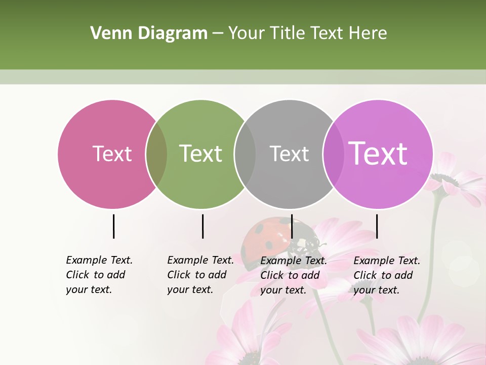 Isolated Petals Border PowerPoint Template