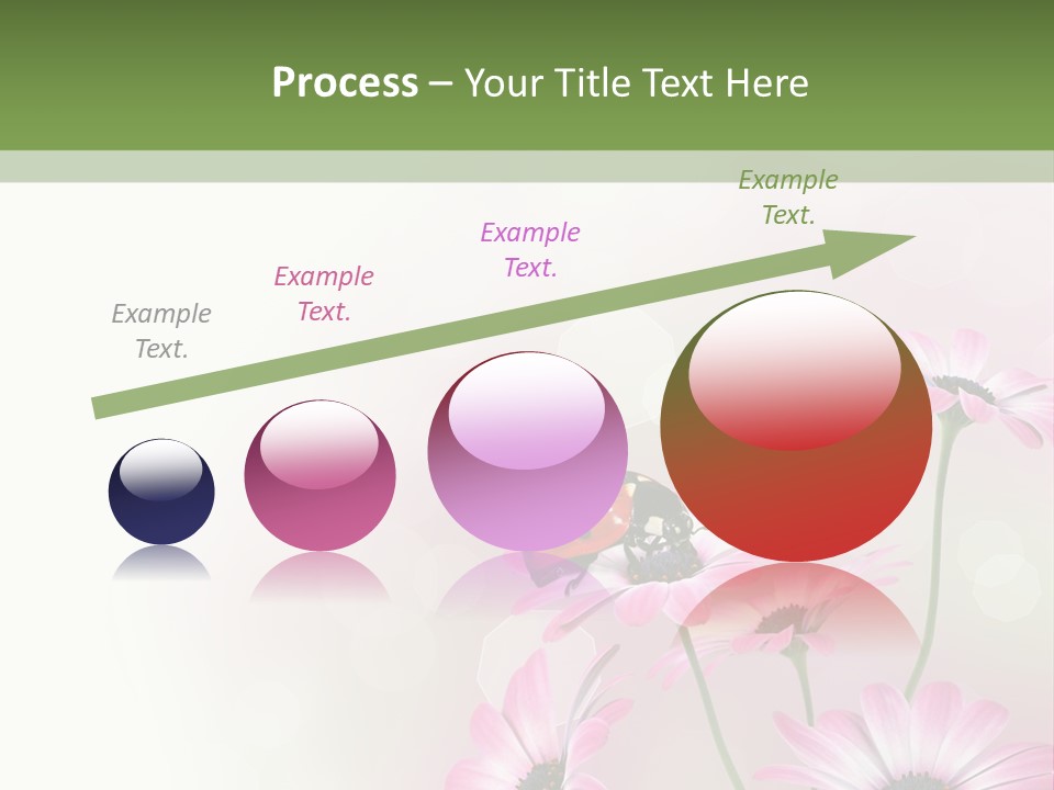 Isolated Petals Border PowerPoint Template