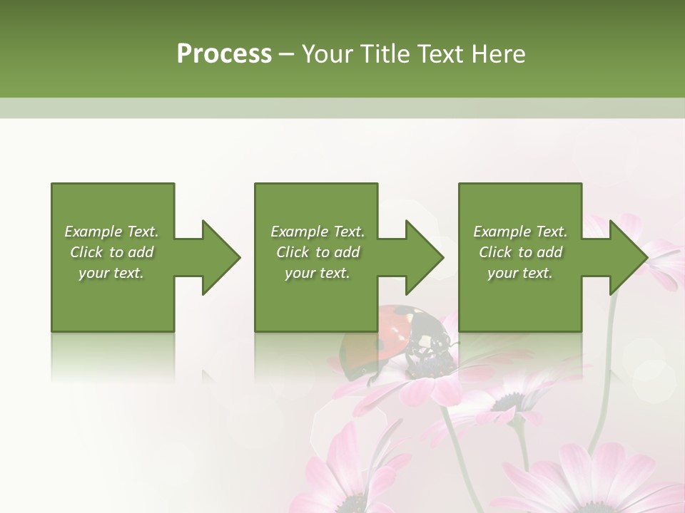 Isolated Petals Border PowerPoint Template