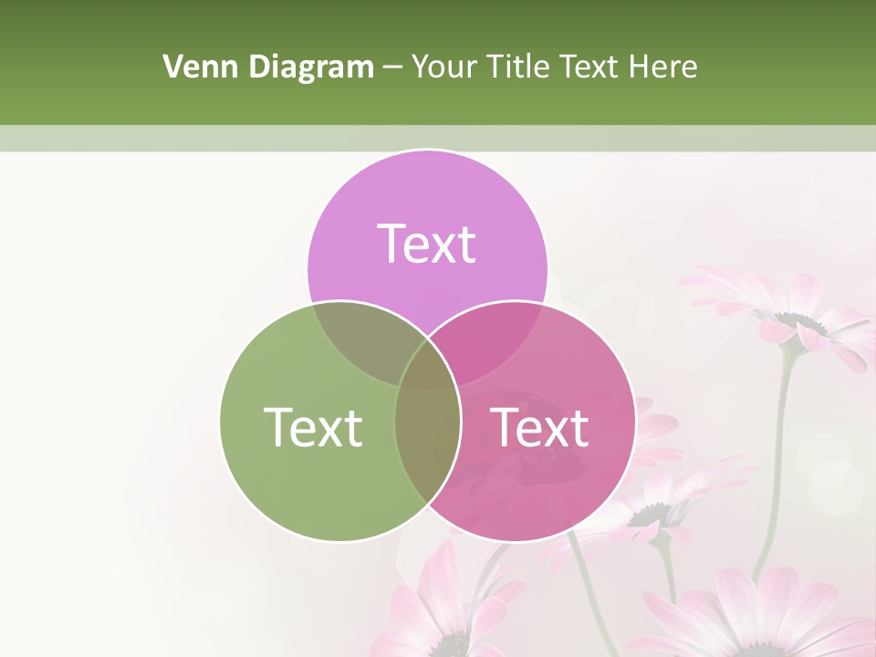 Isolated Petals Border PowerPoint Template