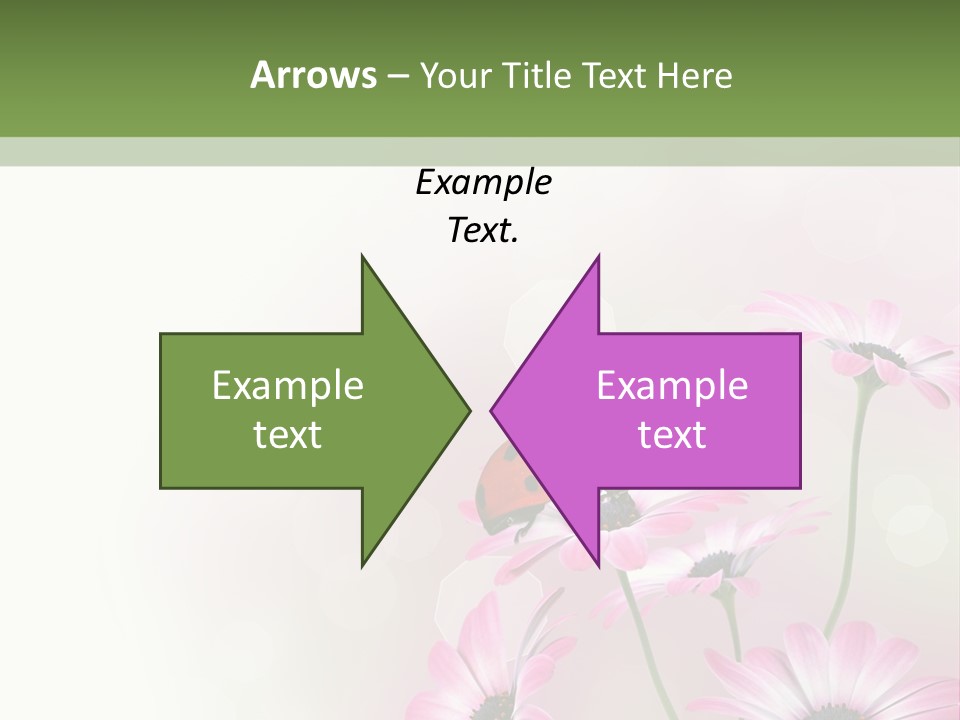 Isolated Petals Border PowerPoint Template