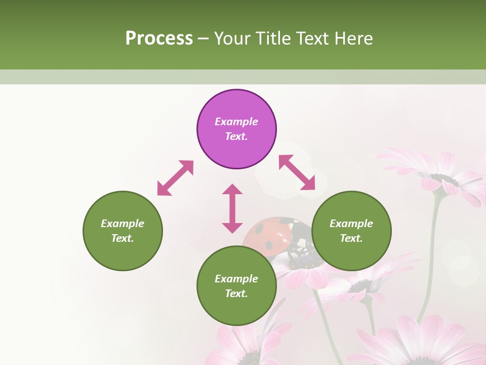 Isolated Petals Border PowerPoint Template