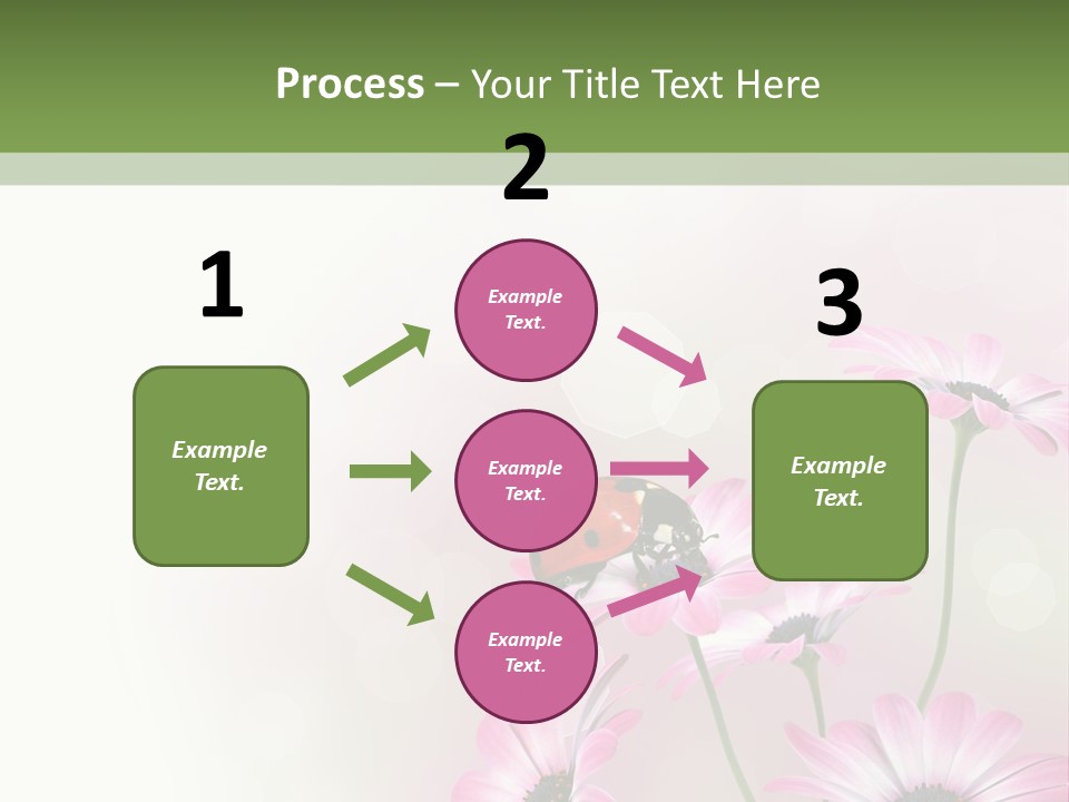 Isolated Petals Border PowerPoint Template