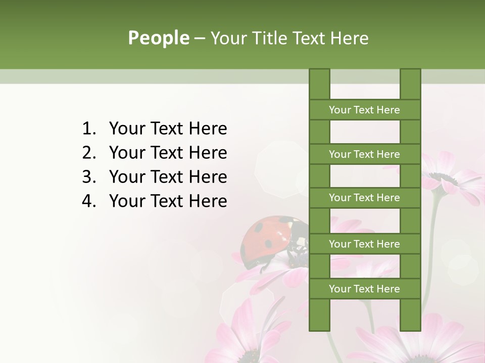 Isolated Petals Border PowerPoint Template